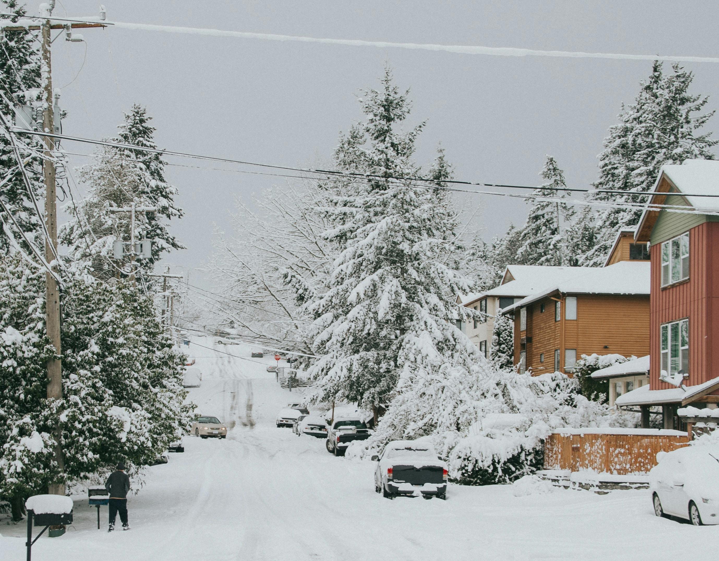 66fdc44736c97e7da78b6b47 Amberrenae1357304unsplash