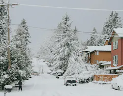 66fdc44736c97e7da78b6b47 Amberrenae1357304unsplash 66fdc44736c97e7da78b6b47 Amberrenae1357304unsplash