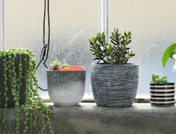 66fdc458e1fd4a2f84e1fa91 Lutherbottrill686178unsplash 66fdc458e1fd4a2f84e1fa91 Lutherbottrill686178unsplash