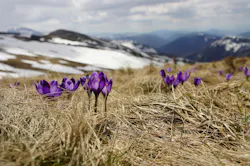 66fdc45d36c97e16a58b6b67 Biegunwschodni18125unsplash 66fdc45d36c97e16a58b6b67 Biegunwschodni18125unsplash