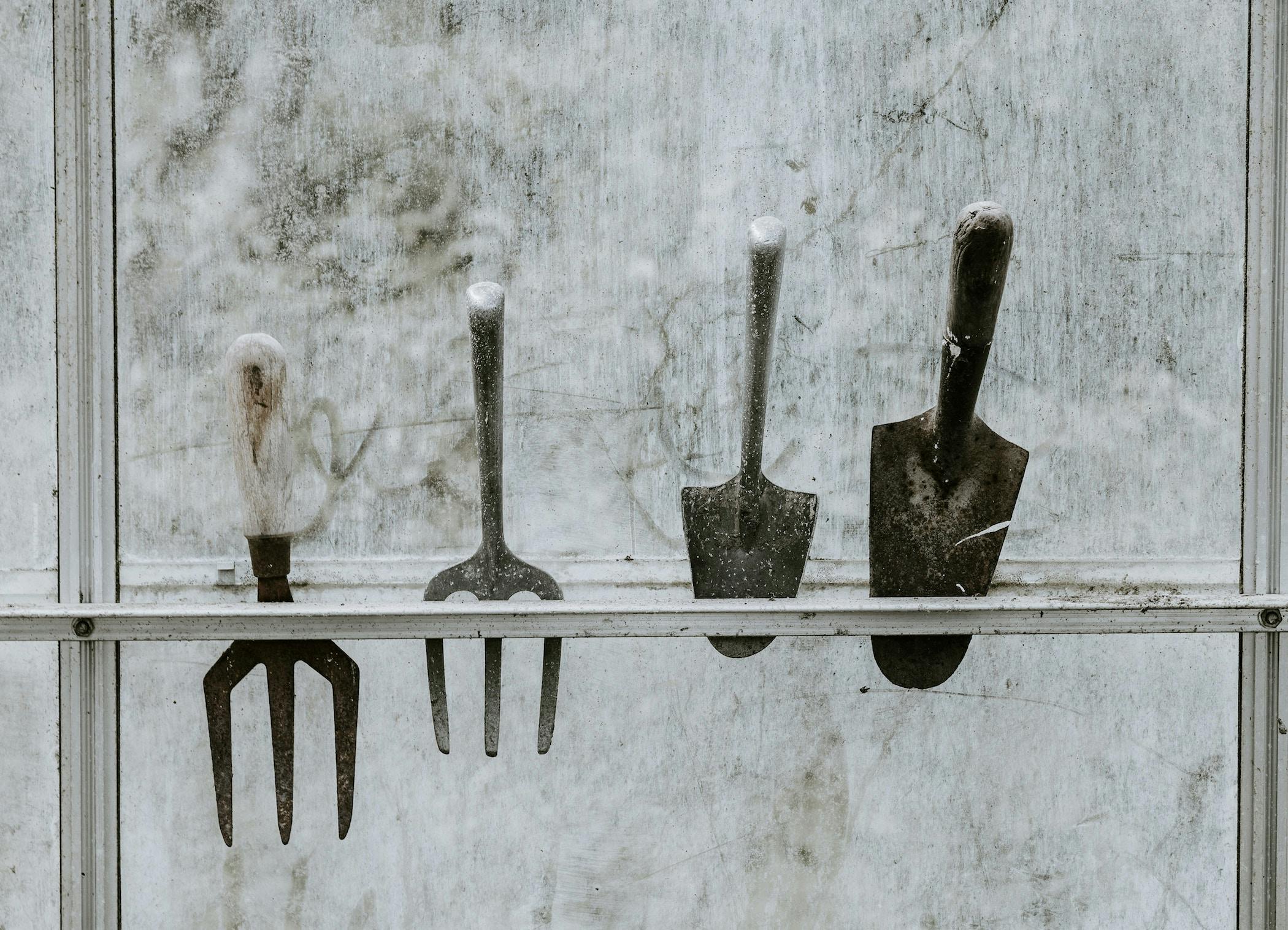 66fdc46436c97e6e3d8b6b6f Anniespratt667044unsplash