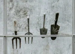 66fdc46436c97e6e3d8b6b6f Anniespratt667044unsplash 66fdc46436c97e6e3d8b6b6f Anniespratt667044unsplash