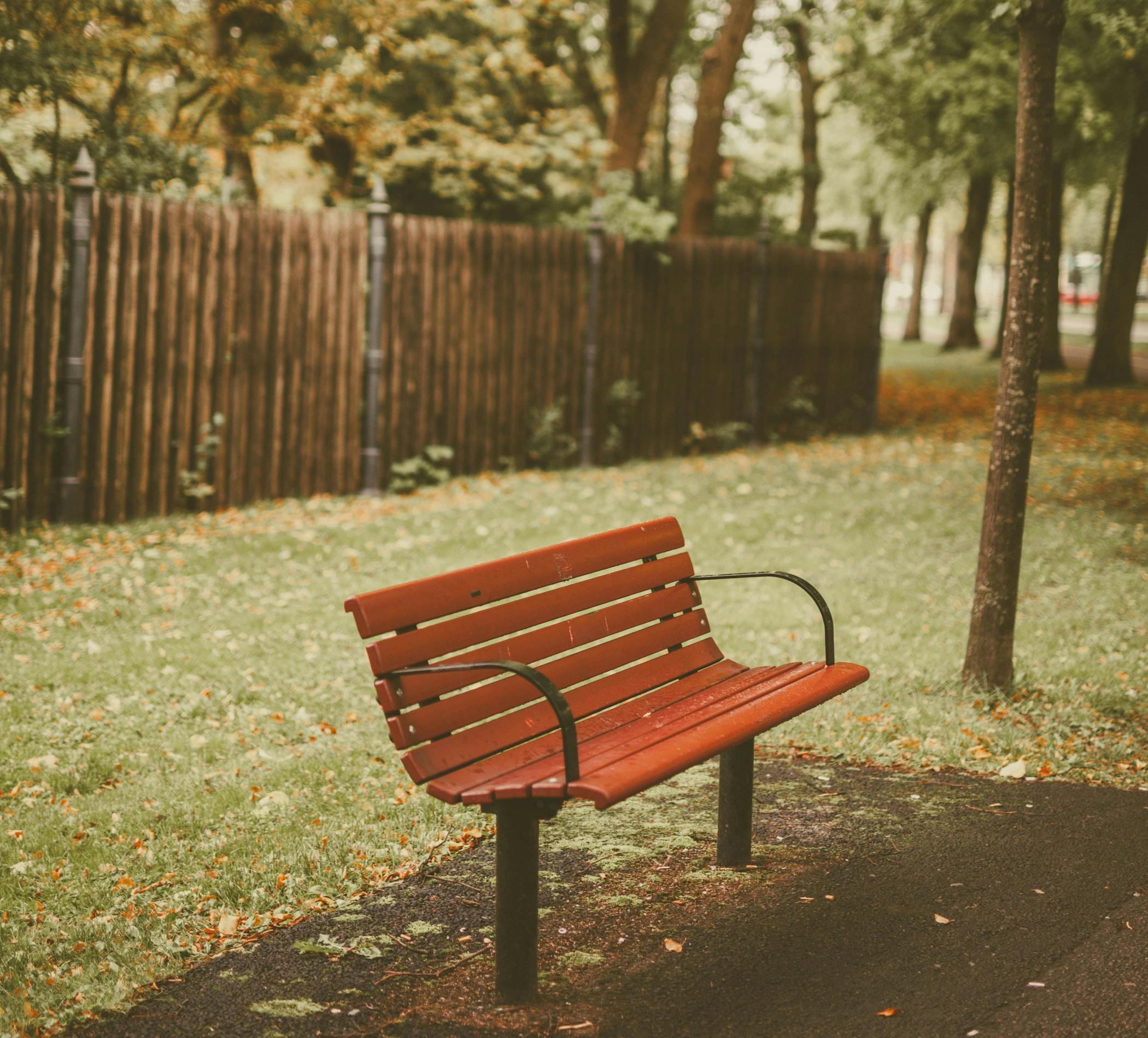 66fdc47cdbd68e0e9e4ab261 Elinabernpaintner1080378unsplash