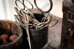 66fdc494e1fd4a7239e1fad7 Alexandregodreau510214unsplash 66fdc494e1fd4a7239e1fad7 Alexandregodreau510214unsplash