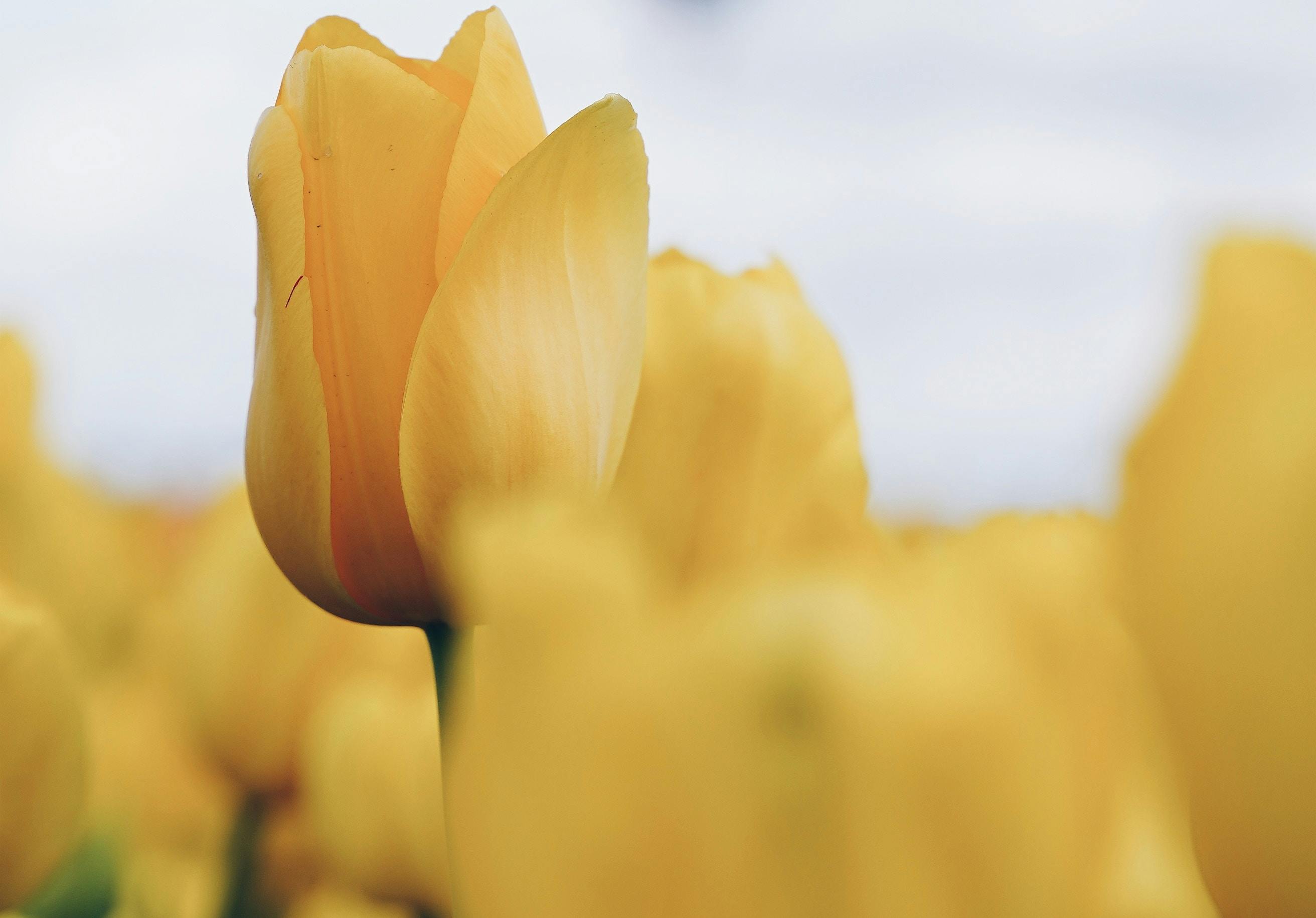 66fdc4c8a897b55beeb208e8 Ivanbogdanov1531091unsplash