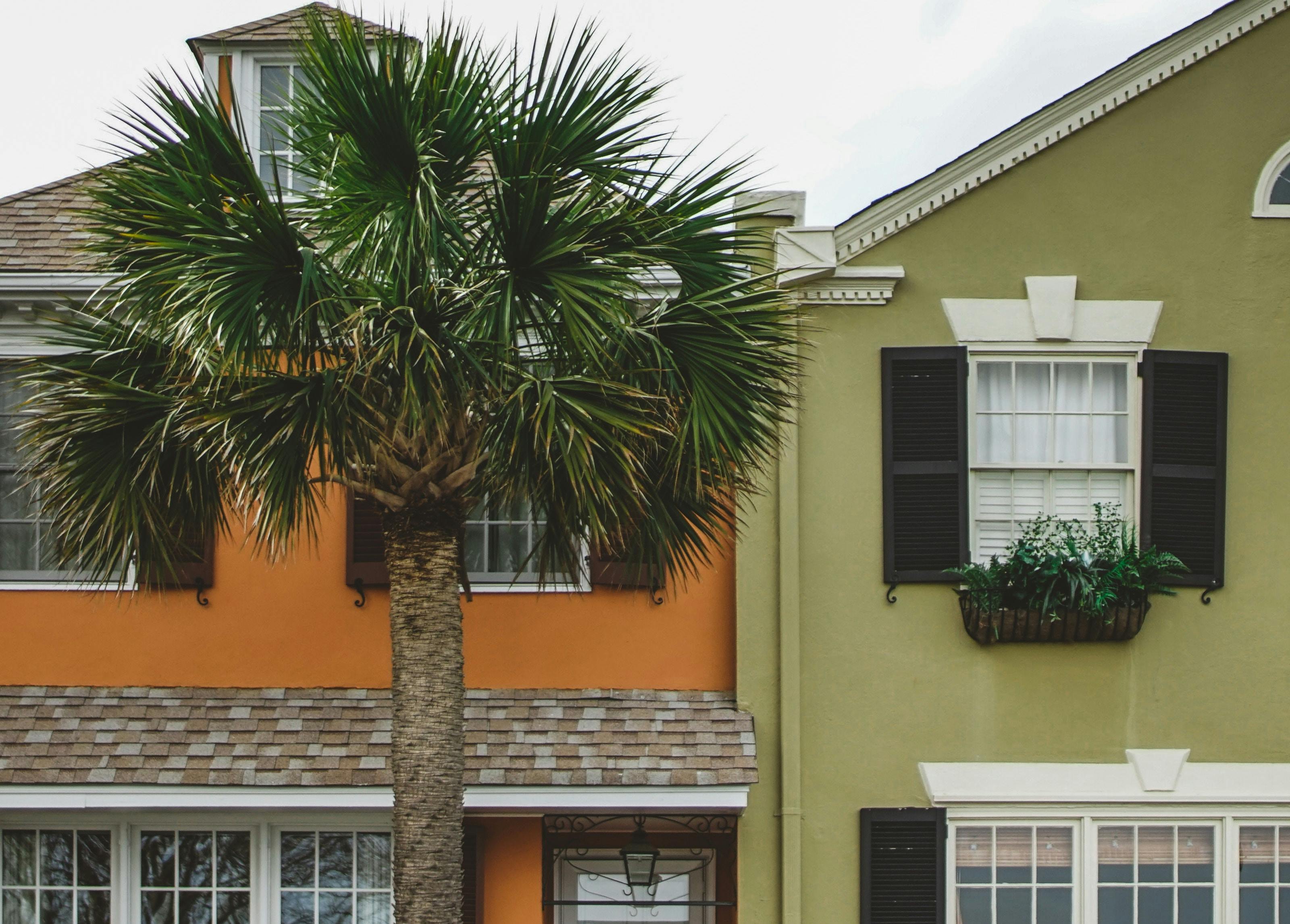 66fdc4e336c97eb68c8b6c18 Davidmartin621605unsplash