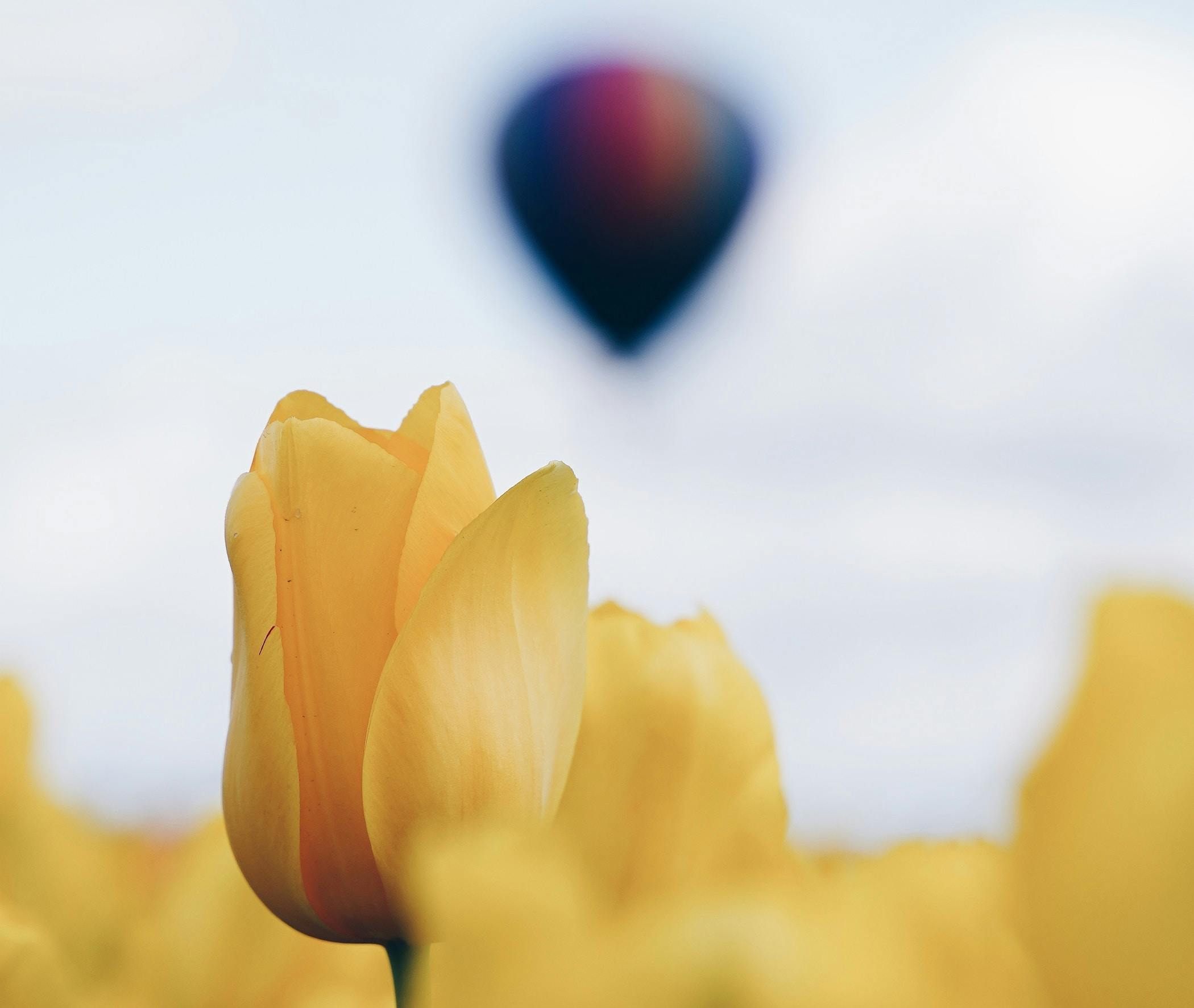 66fdc4f9a5dba008ee462ff6 Ivanbogdanov1531091unsplash201