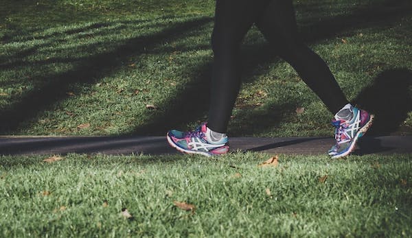 66fdc5bfd4ea381a3ca5a5b3 Walk