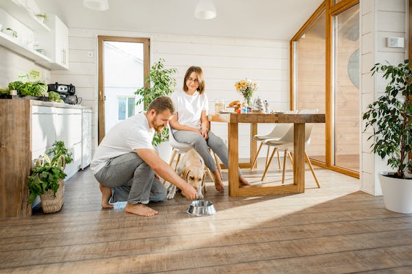 66fdc6aca897b5692ab20c39 Couplefeedingdoginbrightroom