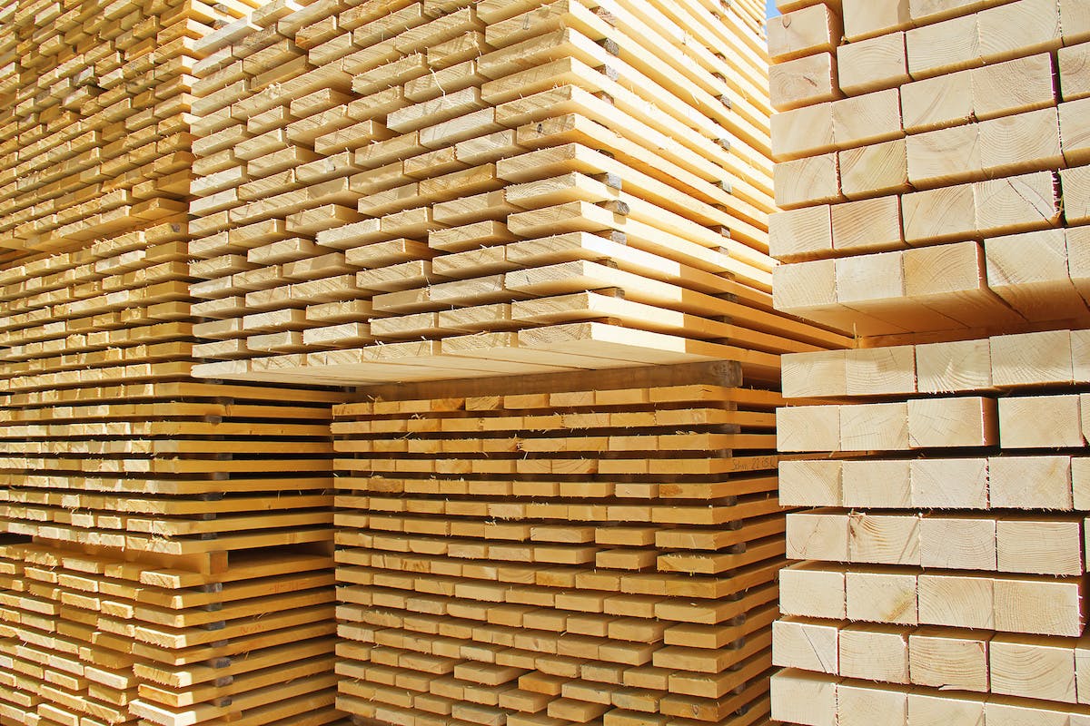 66fdc7cfa897b54dfeb20ee3 Adobestock 42070459