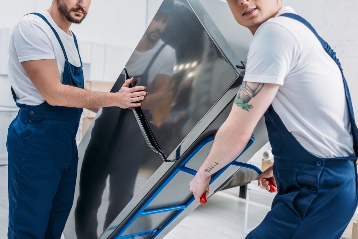 66fdc8443cabd91a22a6ac7b Adobestock 257904656