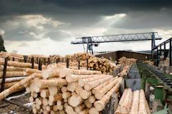 66fdc84be63fdc7c72459872 Adobestock 27967527 66fdc84be63fdc7c72459872 Adobestock 27967527