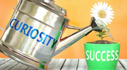 Photo: Stock adobe Photo: Stock adobe