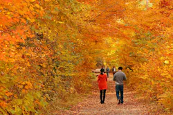 66fdc88fe1fd4af249e20299 Vermontmin 66fdc88fe1fd4af249e20299 Vermontmin