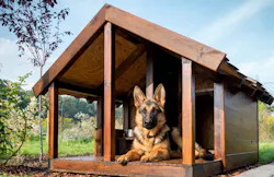 66fdc8acd4ea38948ba5ab91 Dog20housemin 66fdc8acd4ea38948ba5ab91 Dog20housemin