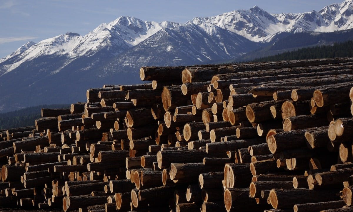 66fdc8d83cabd982a3a6ad8f Canada20lumbermin