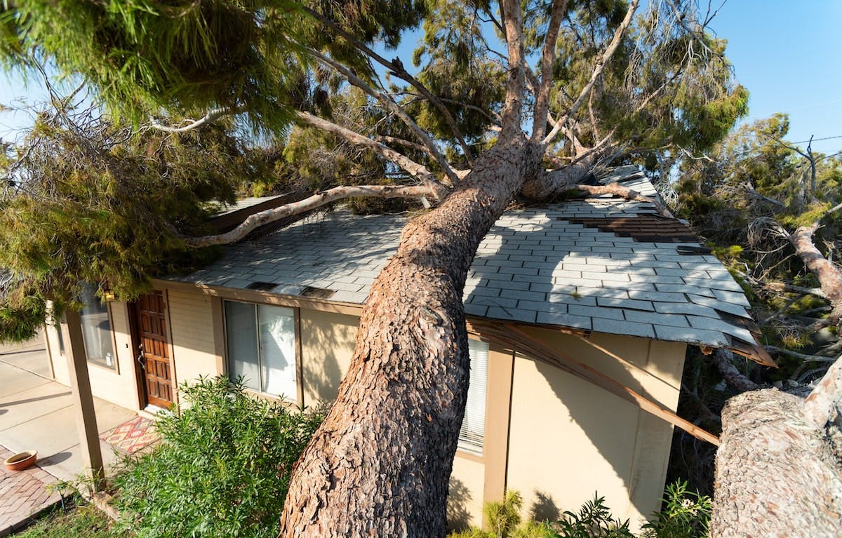 66fdc8e501d3bfcb13af8c1c Home20natural20disastermin