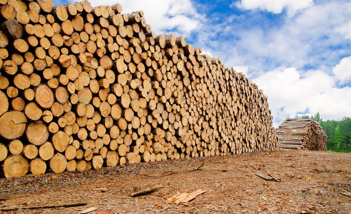 66fdc8fcdbd68e07c04abaa7 Lumber20yardmin