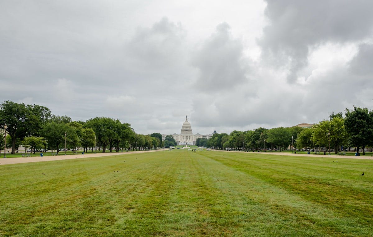 66fdc92e01d3bf51b0af8c95 National20mallmin