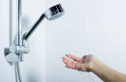 66fdc95c01d3bf4d40af8d0e Showerheadmin 66fdc95c01d3bf4d40af8d0e Showerheadmin