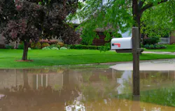 66fdc99fa5dba052874638f0 Flood20mailboxmin 66fdc99fa5dba052874638f0 Flood20mailboxmin