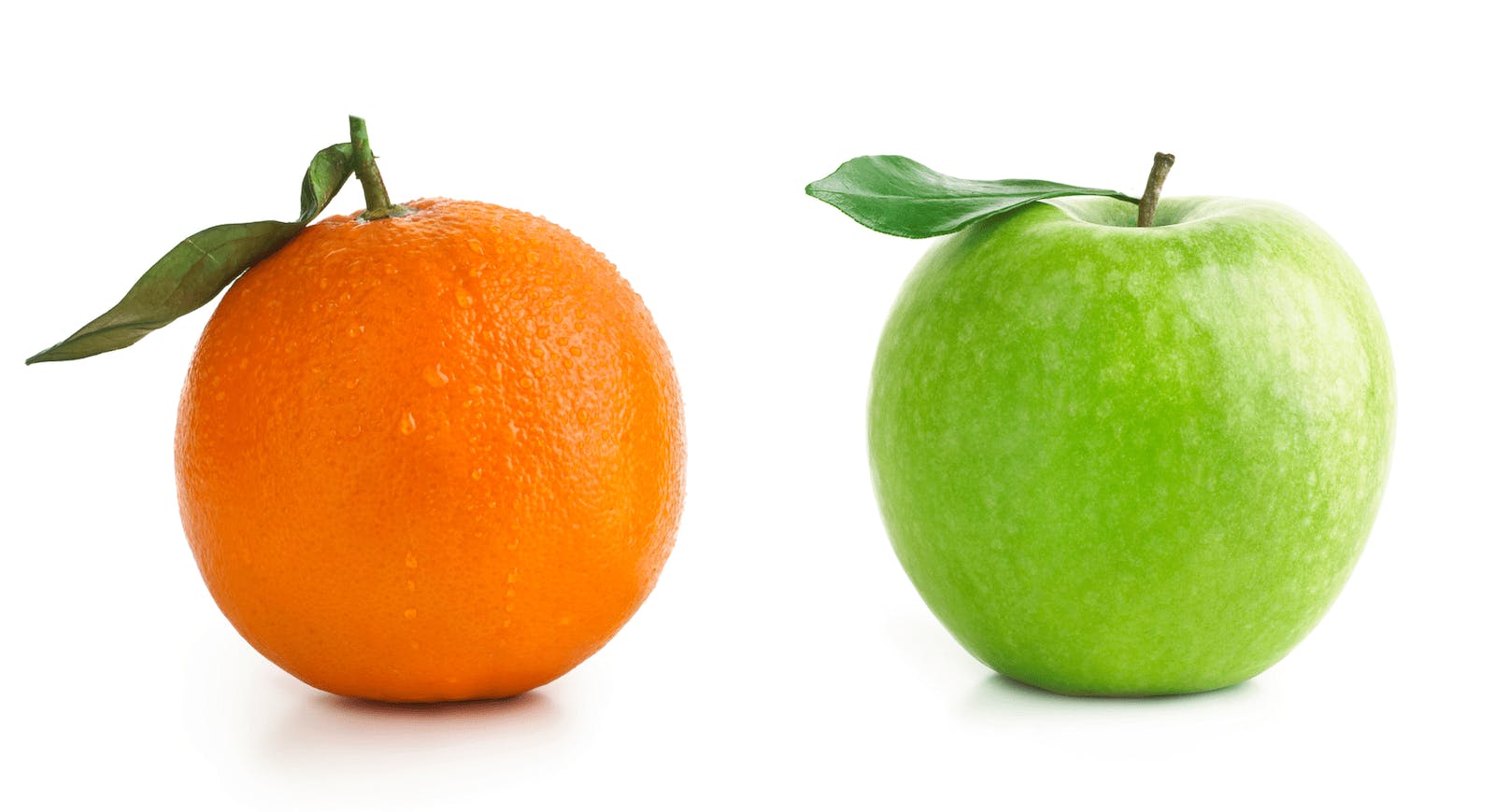 66fdc9f73cabd937e6a6afa7 Buildtorentvssinglefamilydesigndifferencesmin