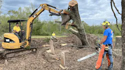 66fdca26de5fd1386b54a041 Mstreetrimmingdisasterrelief1600x900min 66fdca26de5fd1386b54a041 Mstreetrimmingdisasterrelief1600x900min