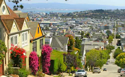 66fdca7f3cabd9b532a6b0b5 Sf20neighborhoodmin 66fdca7f3cabd9b532a6b0b5 Sf20neighborhoodmin