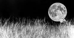 66fdccc601d3bfaed3af960f Screen20shot202022012620at204 66fdccc601d3bfaed3af960f Screen20shot202022012620at204