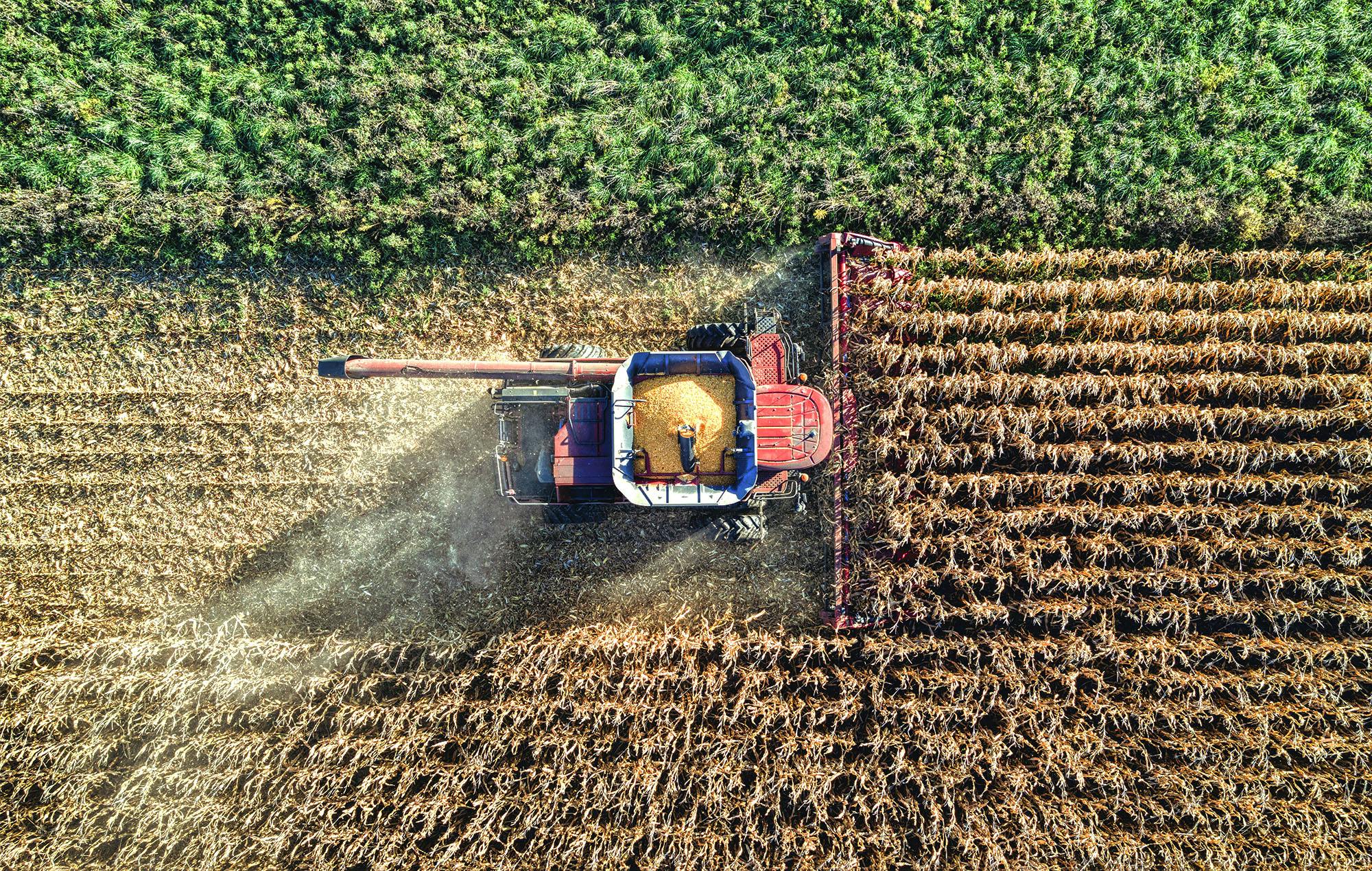 66fdcd2ce1fd4a710ee20d94 Pexelstomfisk10849318