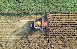 66fdcd2ce1fd4a710ee20d94 Pexelstomfisk10849318 66fdcd2ce1fd4a710ee20d94 Pexelstomfisk10849318