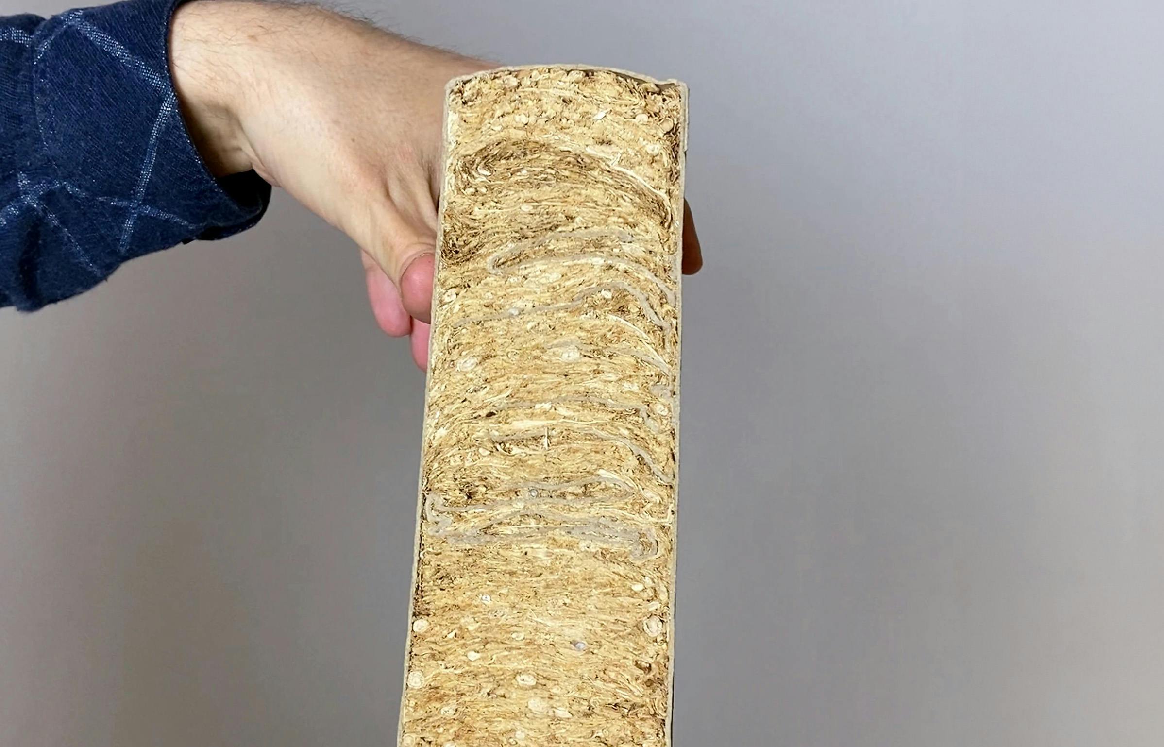 66fdcd30dbd68e62e14ac521 Our20ecolution202