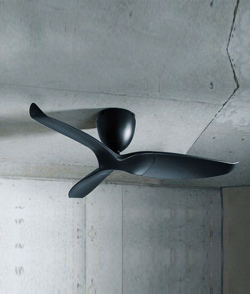 66fdcd52dbd68e2f504ac554 00120aeratron20ae3 Mainimage