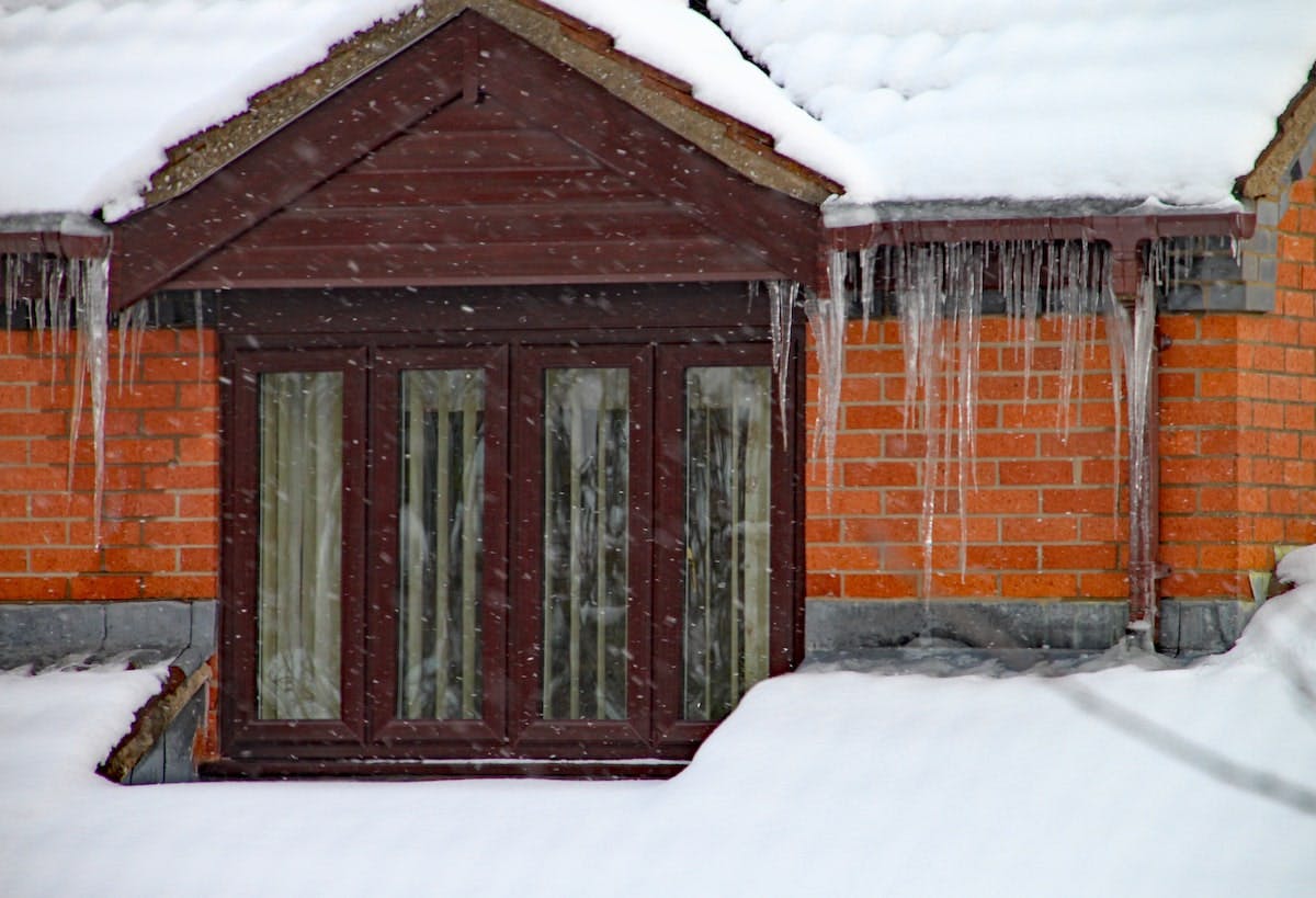 66fdcd93e1fd4a60cce20e29 Freeze20thawmin