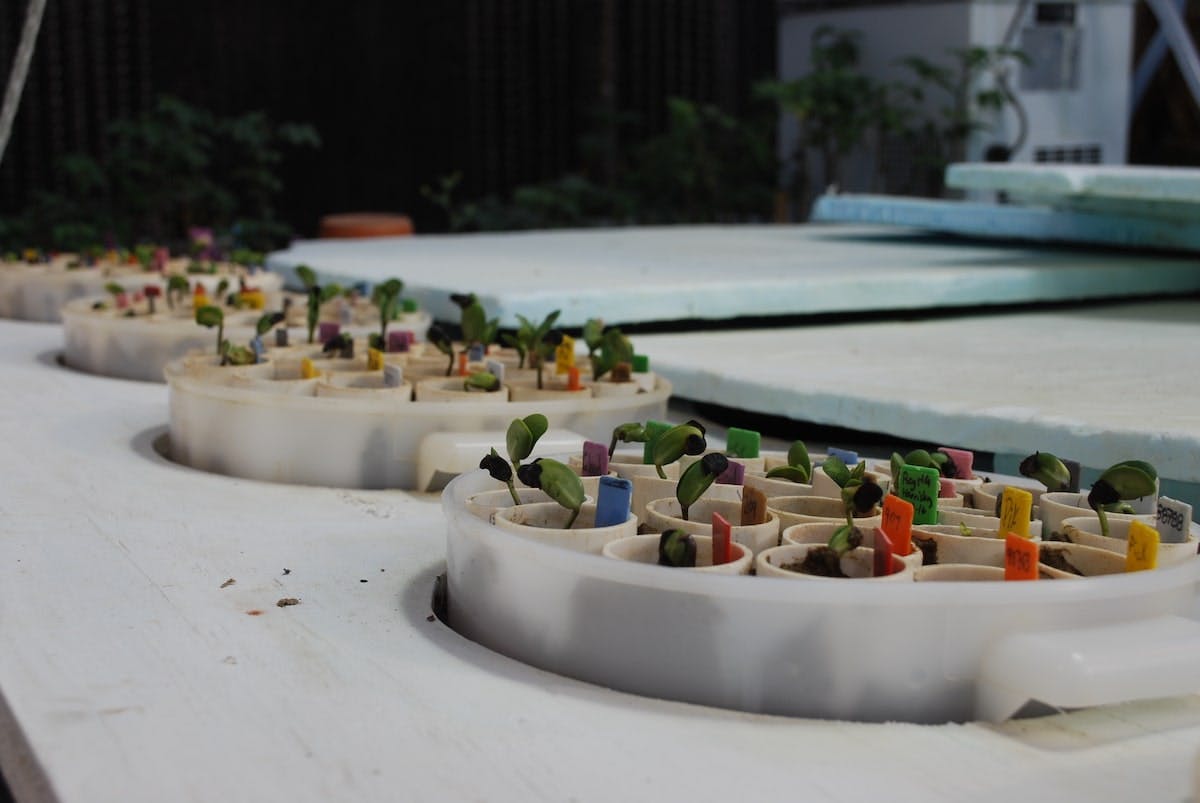 66fdcd9536c97e931c8b7ebc Soybean20researchmin