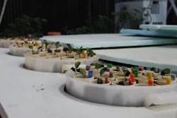 66fdcd9536c97e931c8b7ebc Soybean20researchmin 66fdcd9536c97e931c8b7ebc Soybean20researchmin