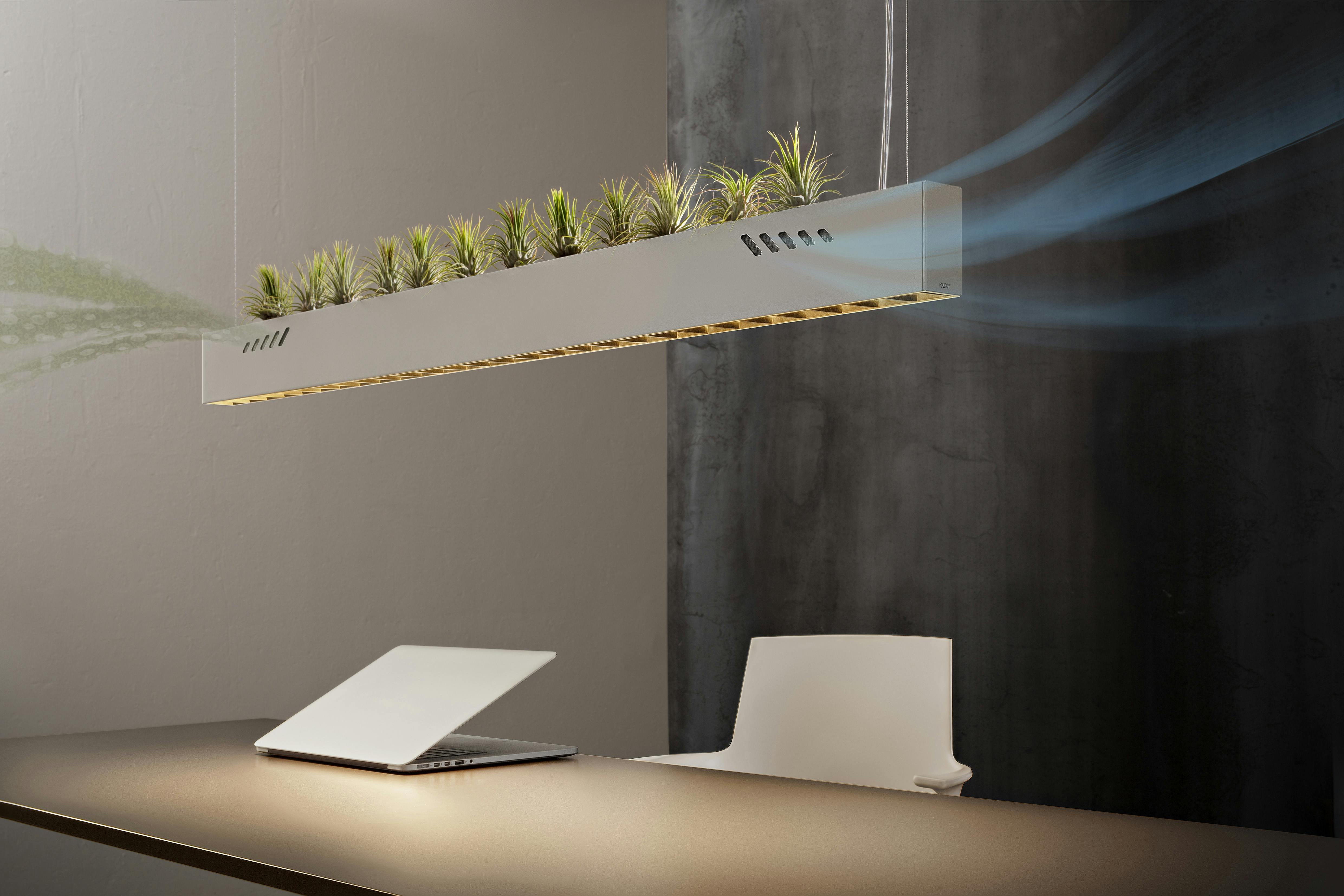 66fdcf5ade5fd1f21354ab0d Olevpurebioairlightfixturewithillustration