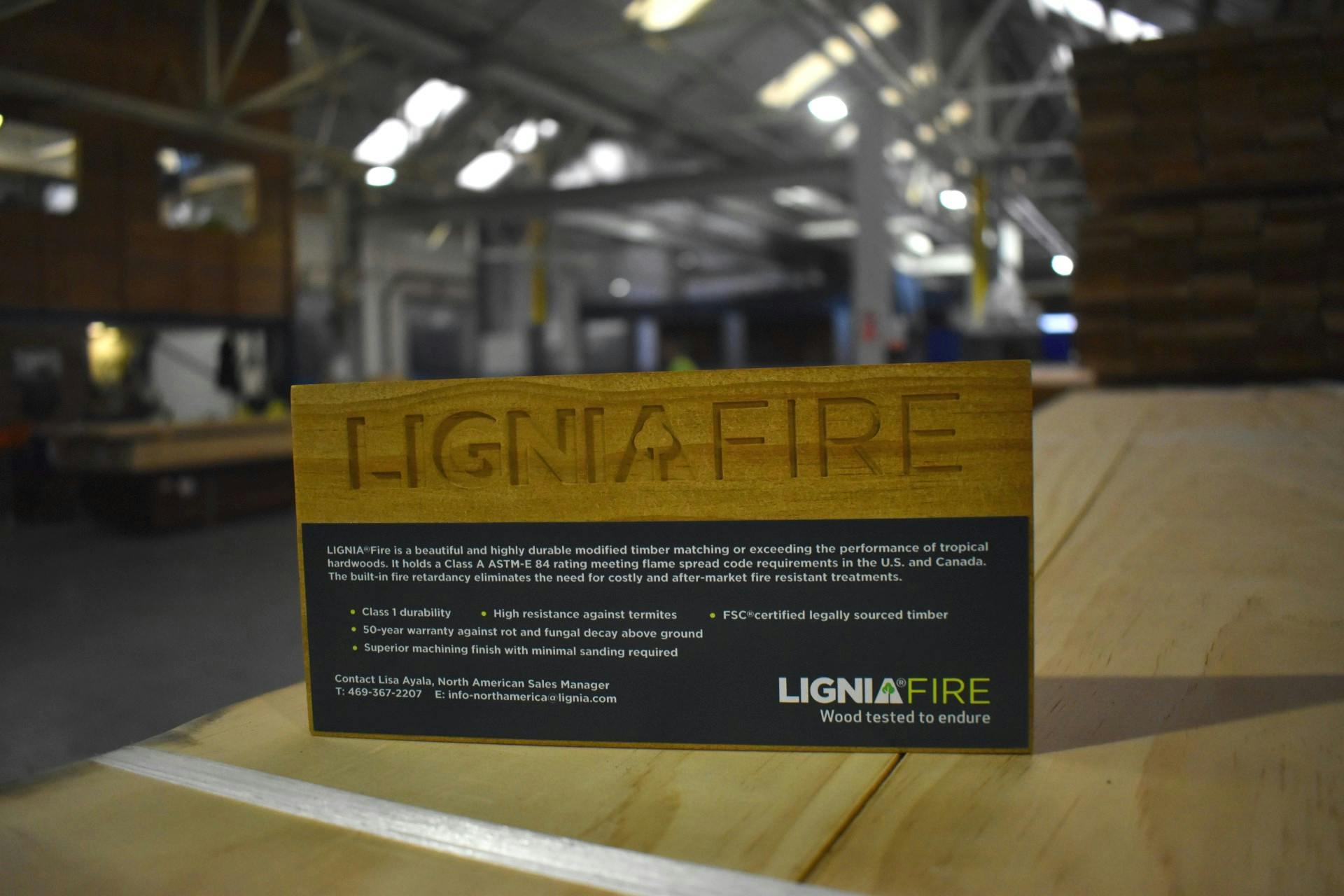 66fdcfe33cabd9579ca6bb6b Ligniac2ae20fire