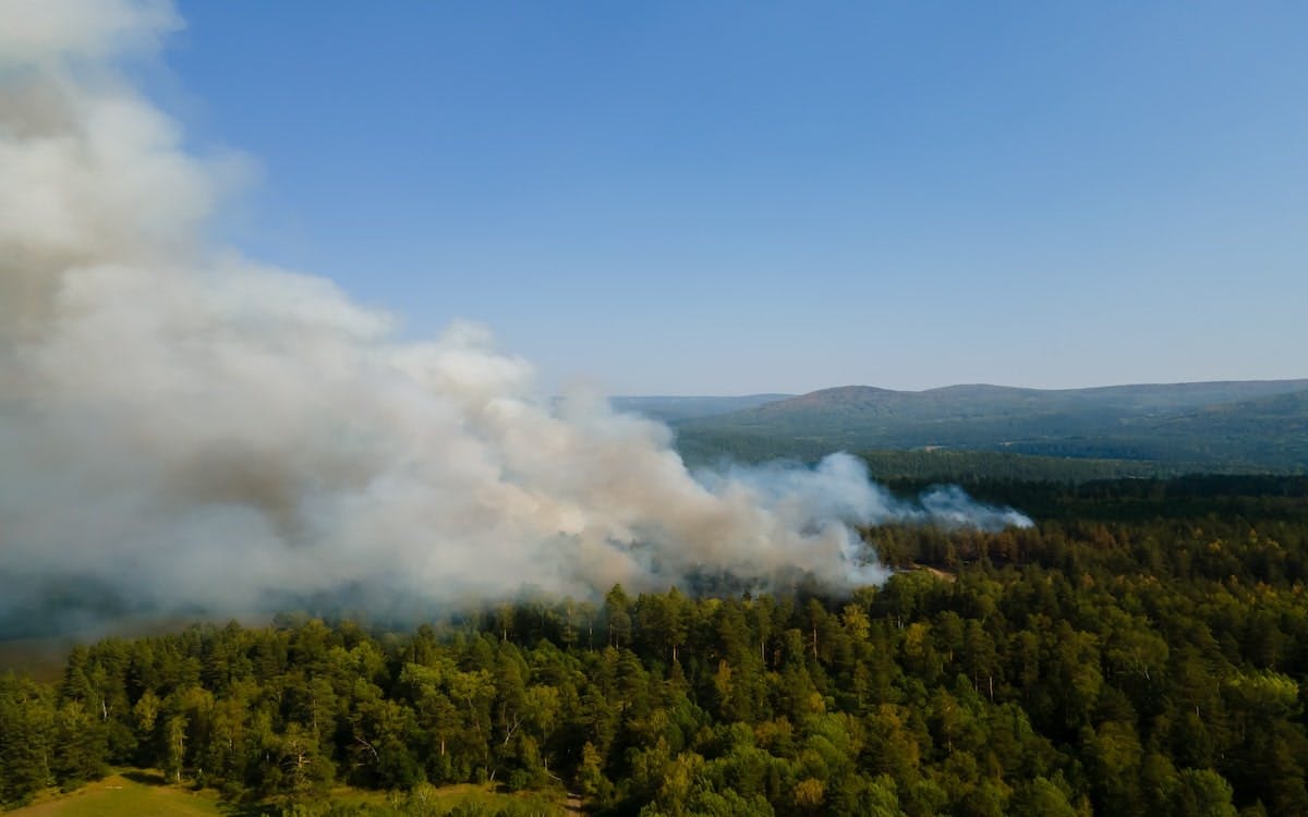 As extreme weather events become increasingly common, both homeowners and insurance companies should be aware of ways to mitigate their wildfire risk.
