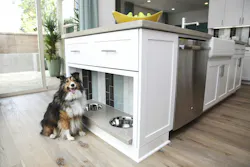 The%20 Edge Dog%20 Dish%202 Ktgy%20 Architecture%2 B Planning 0 The%20 Edge Dog%20 Dish%202 Ktgy%20 Architecture%2 B Planning 0