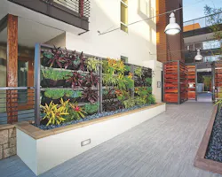 Green Primera Terra3 Green Primera Terra3