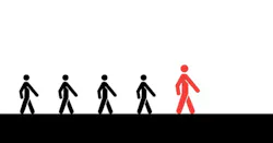 Pb Risk Management Lyons Ornamental1 Pb Risk Management Lyons Ornamental1