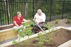 St%20 Johns New%20 York Garden St%20 Johns New%20 York Garden