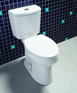 Niagara Conservation Nano dual-flush toilet Niagara Conservation Nano dual-flush toilet