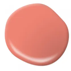 Behr Salmon Coral chalk paint Behr Salmon Coral chalk paint