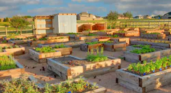 100 1651z3%2022%20%282%29 100 1651z3%2022%20%282%29