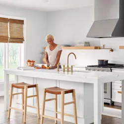 Parma birdge kitchen faucet Parma birdge kitchen faucet