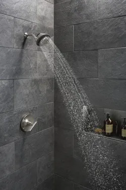 KOHLER moxie showerhead speaker KOHLER moxie showerhead speaker