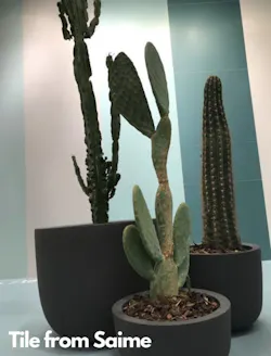 Saime Biophelia And Simple Colors Cersaie Saime Biophelia And Simple Colors Cersaie