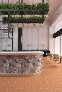 5%20 Cevica Chintz P22 01%281%29 5%20 Cevica Chintz P22 01%281%29